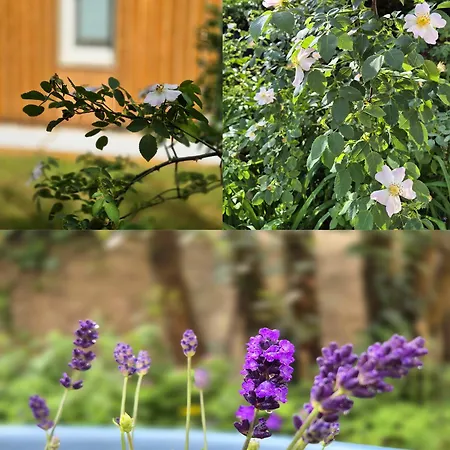 Casa vacanze La Maison Discrète - Sauna Balnéo, Jardin -